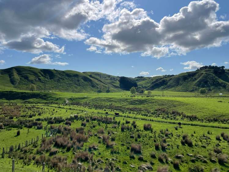 37 Waikakahi Road Pongaroa Pongaroa_26