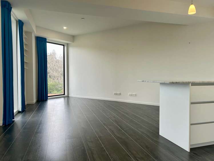 303/13 Cheshire Street Parnell_3