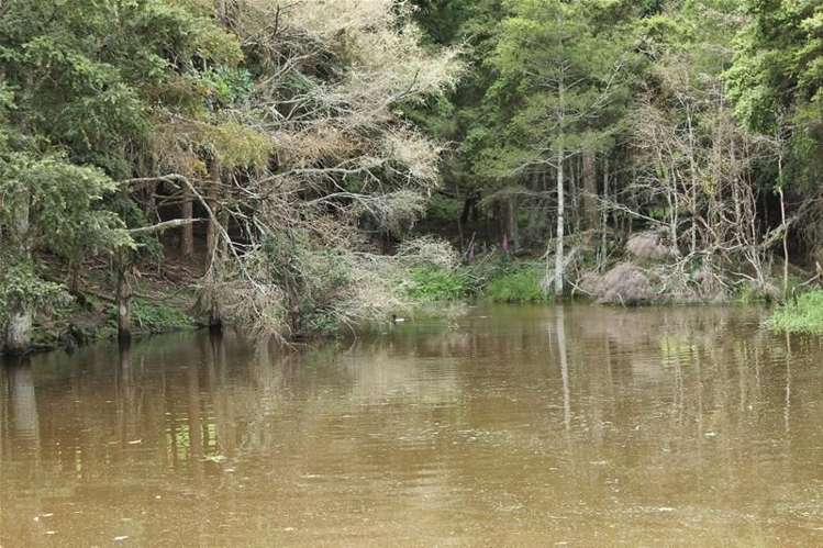 243c Mountain Road Maungaturoto_7