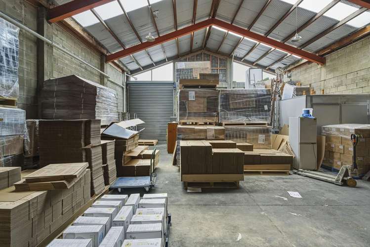 146 Frederick Street North Dunedin_11