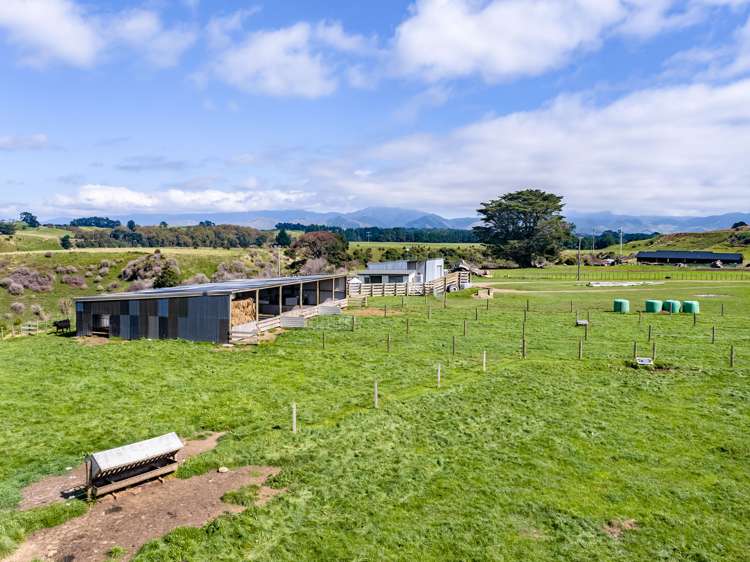 200 Garfield Road Norsewood_22