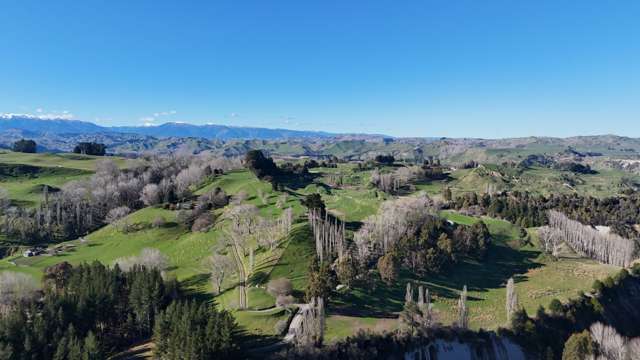 31 Tuhoe Road Taihape_1