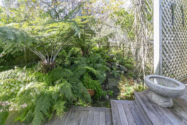 8 Walmer St Hataitai_27