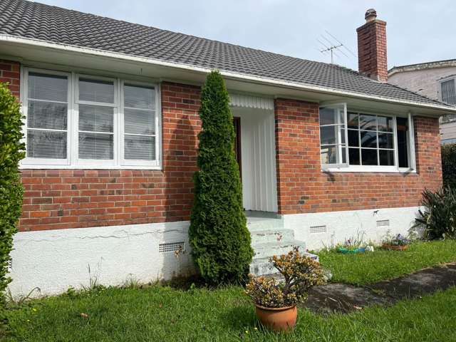 Nicely Presented Sunny Home - Orakei