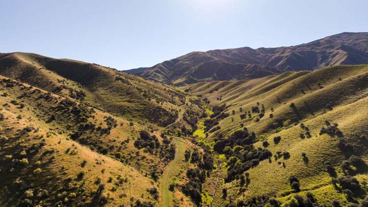 Spotsburn, Lot 2, 928 Cardrona Valley Road Cardrona_6