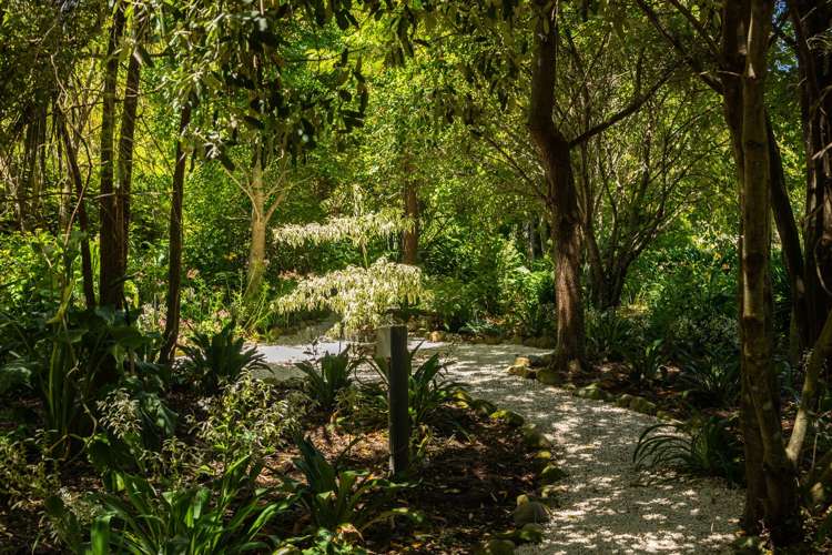 1048 State Highway 63 Wairau Valley_19