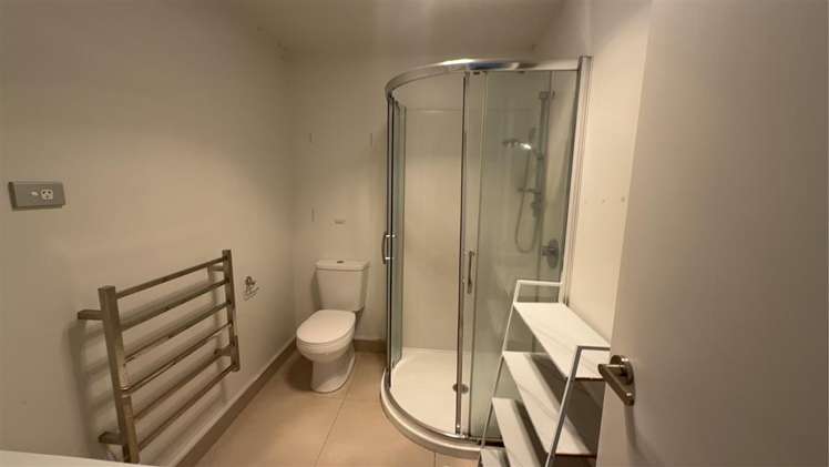 1/4 Littler Place Hamilton East_9