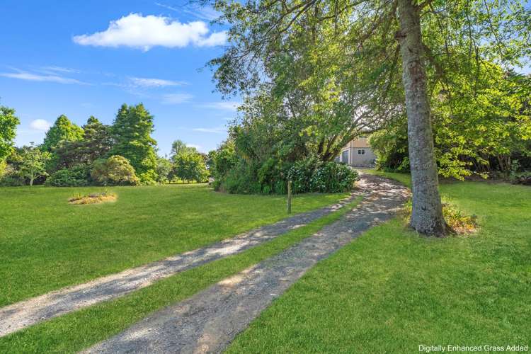 2926 SH25 Tairua Whitianga HWY Whitianga_28