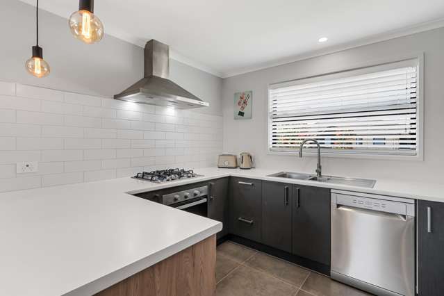 1 Fetlock Way Papamoa_2