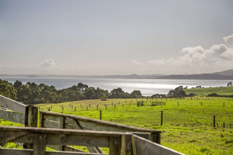 98 Shelly Beach Road Shelly Beach_21