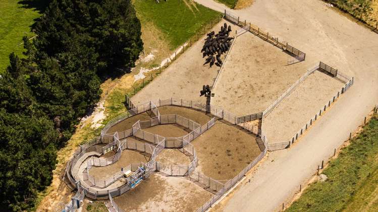 Address withheld Middlemarch_13