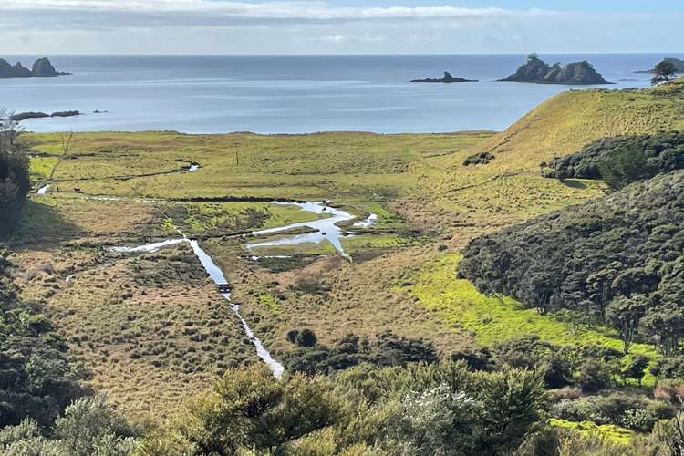 638 Whangaruru North Road_0