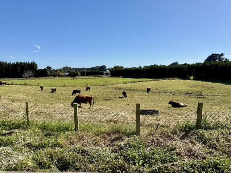 300 Moulson Street Tisbury_39