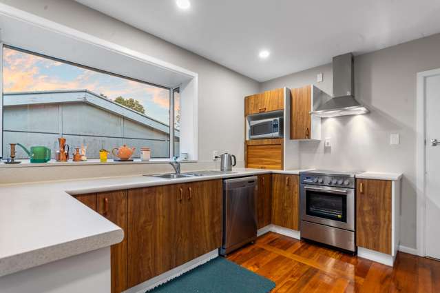 20 Carruthers Street Ilam_4