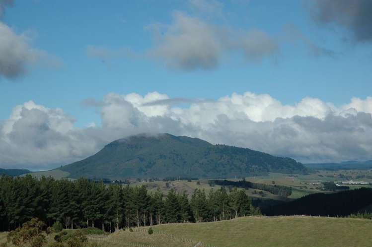 491 Palmer Mill Road Wairakei and Surrounds_17