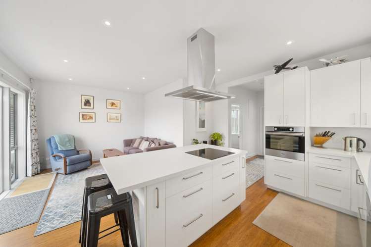 133 Nevay Road Miramar_2