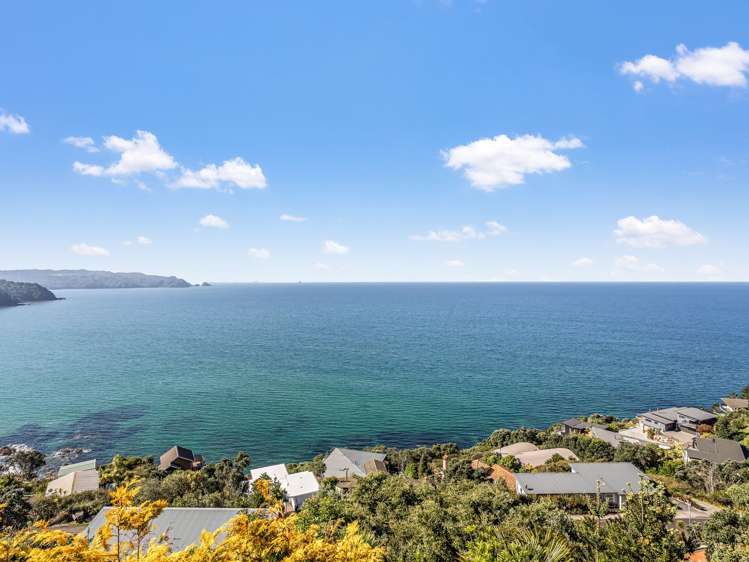 14 David Mason Avenue Tairua_11