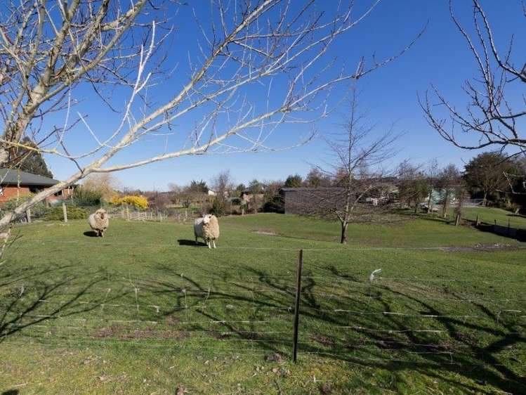 15 Tuarangi Road Netherby_17