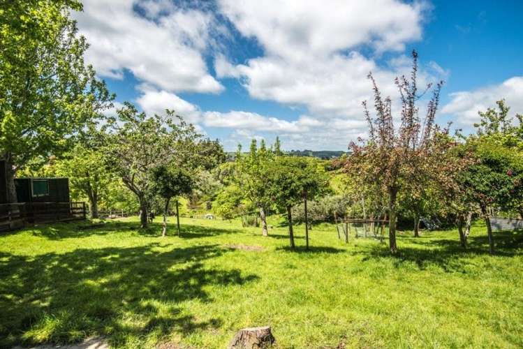 Cottage/129 Ara-Kotinga Whitford_5