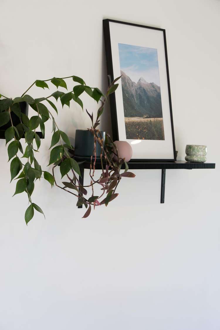 7B Warden Street Richmond_34