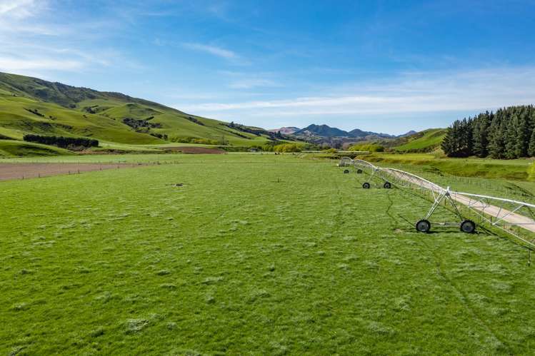 558 Leader Road West Waiau_15