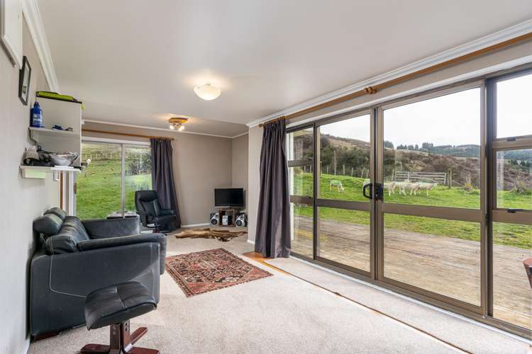 579 Jacksons Line Mauriceville_9