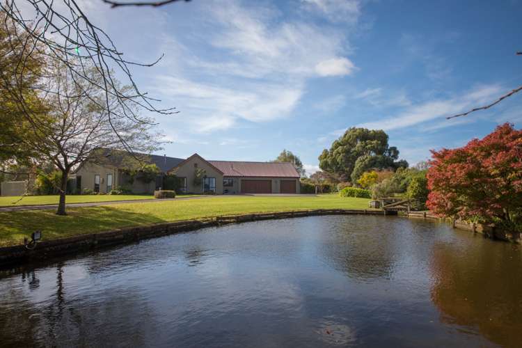 170 Tutaki Road Kelvin Grove_1