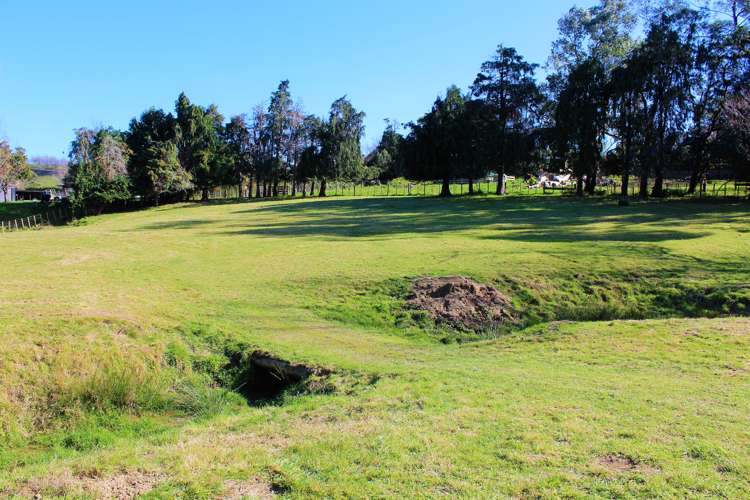 89 Victoria Avenue Dannevirke_7
