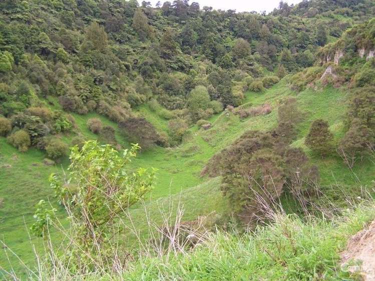 872 Puketawai Road Otorohanga_12