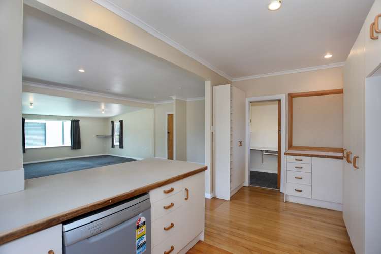 11b Johnson Street Bulls_8