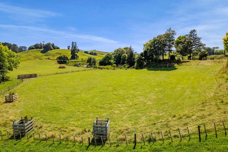 779 Makuri Road Huiroa_24