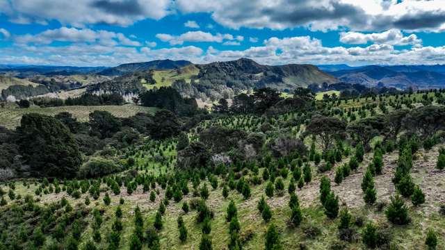 2164 Te Mai Road Tinui Valley_1