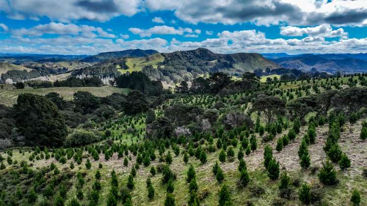 2164 Te Mai Road Tinui Valley_1