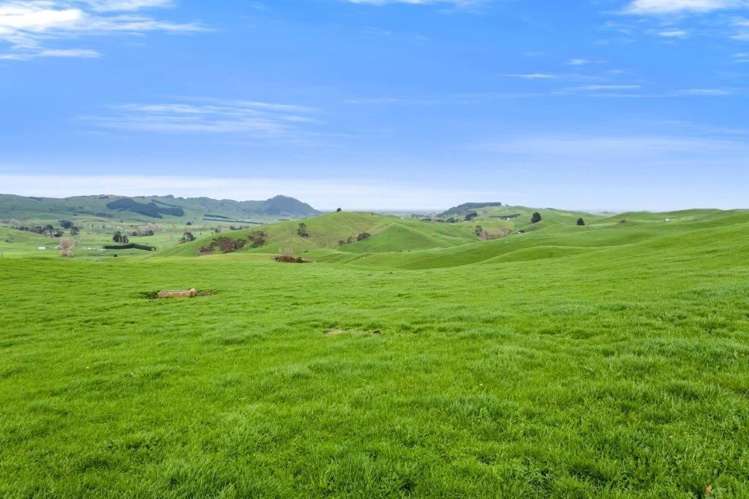 500 Tahuroa Road Tauwhare_6