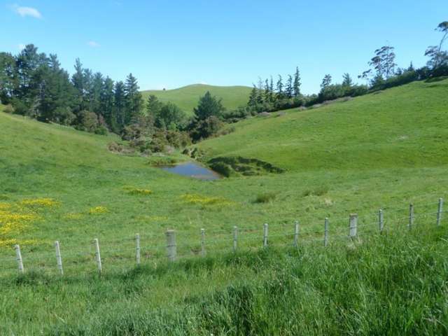 29 Flag Range Road Sherenden_4