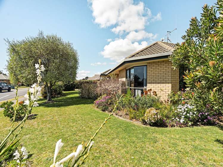 2 Luculia Drive Mt Maunganui_17