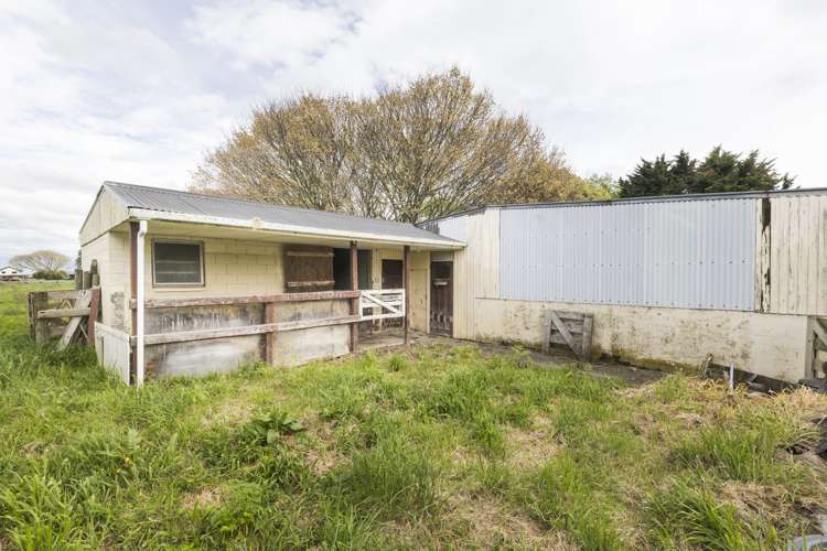 422 Milson Line Milson_24