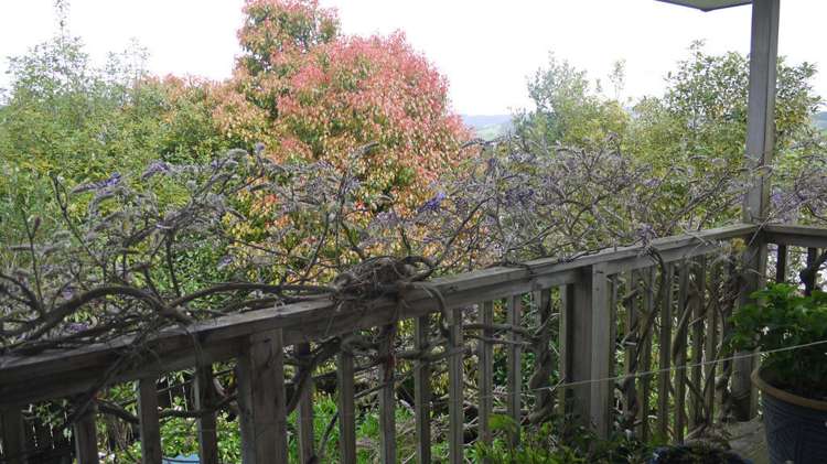 5 Lyttle Lane Warkworth_15