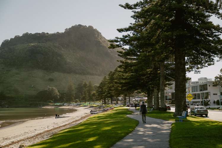 1-7/24 Gloucester Road Mount Maunganui_7