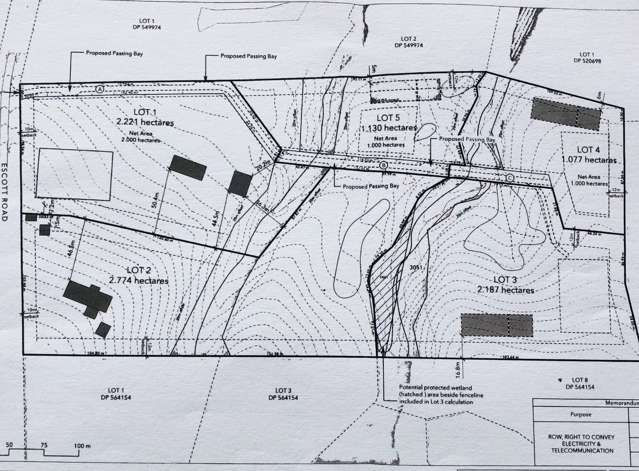 93 Escott Road Dairy Flat_2