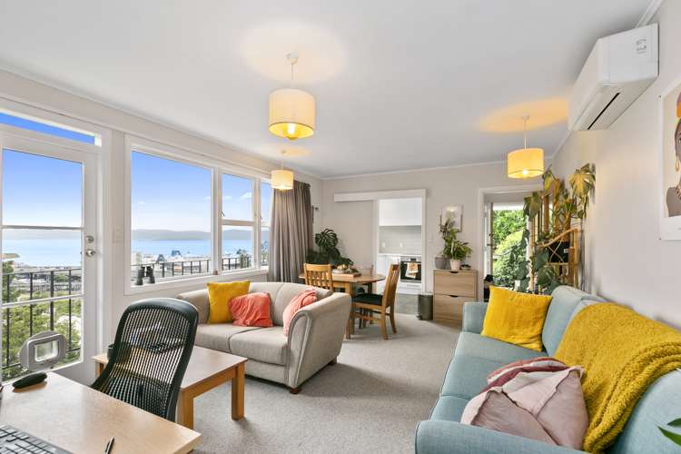 20 Grosvenor Terrace Wadestown_9