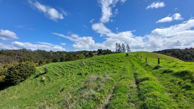 152 McBreen Road Hikurangi Rd1_37