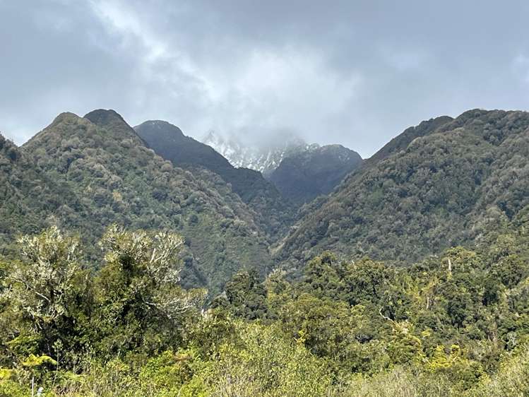 14 Pioneer Drive Franz Josef Glacier_2