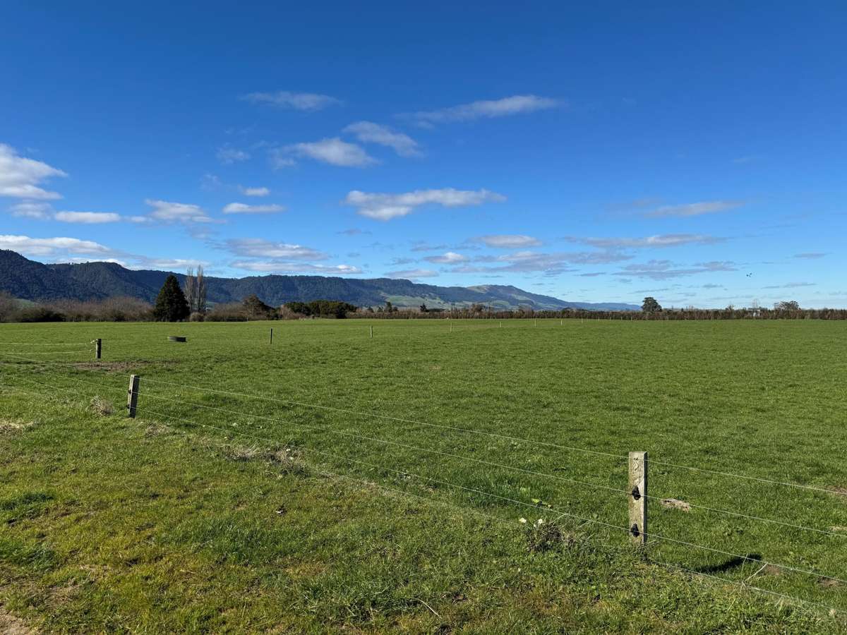 12/1212A Tower Road_5