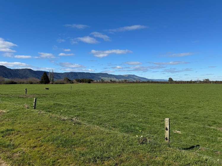 12/1212A Tower Road Matamata_9