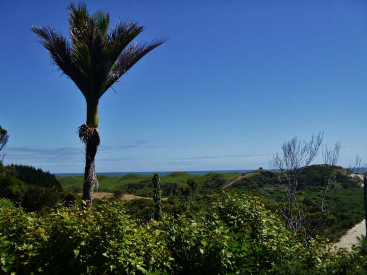 115 Okari Road Cape Foulwind_19