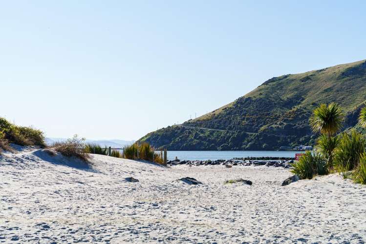 928 Harington Point Road Harington Point_23