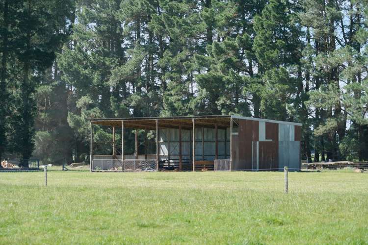 319 Mitchells Road Bankside_22