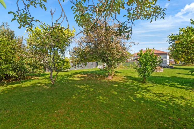 18 Daphne Street Outer Kaiti_15