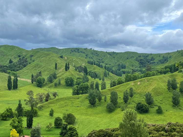 174 Clydebank Road Wairoa_10